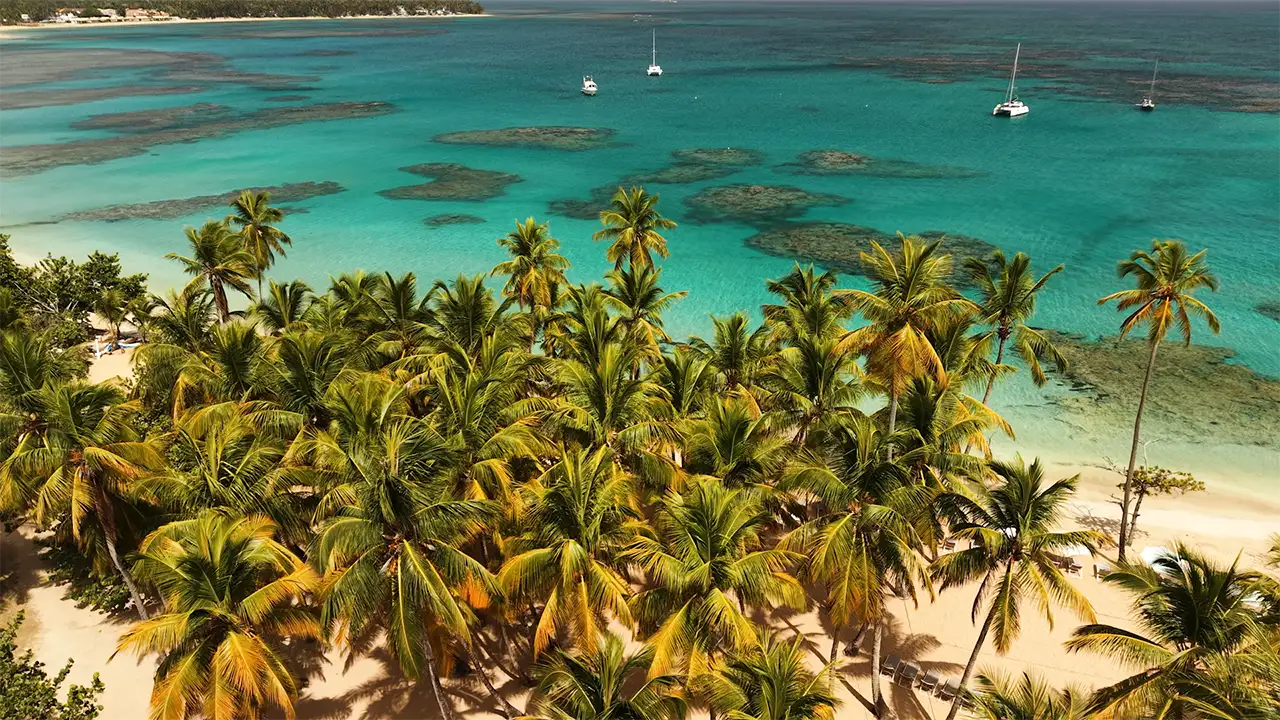 L'Art du cigare — Voyage cigare · République dominicaine